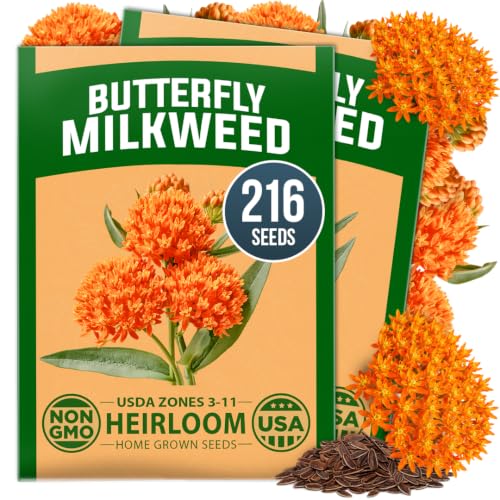Butterfly Milkweed Seeds for Planting