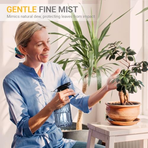 Glass Plant Mister Spray Bottle (Blue)