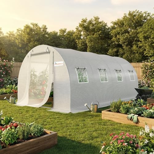 Premium 20x10x6.6FT Greenhouse for Outdoors Large Walk
