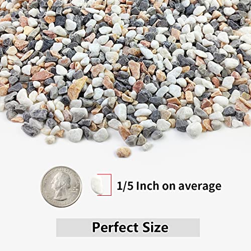 2LB Succulent and Cactus Gravel Pebbles