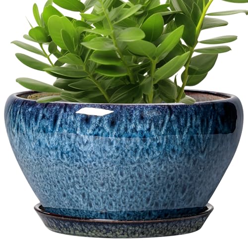 Ceramic Planter 11 Inch (11 Inch / Blue)