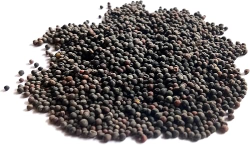 200+ Dwarf Siberian Kale Seeds for Planting