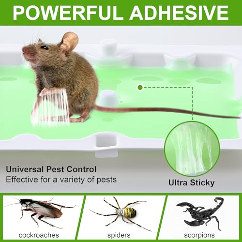 6 Pack Mouse Glue Trap (6 Count)