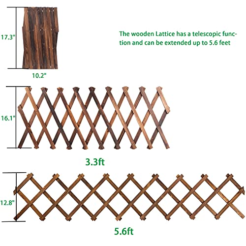 Wooden Lattice Wall