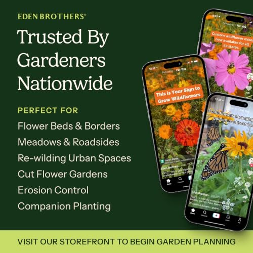 Native Southeast Wildflower Seed Mix (1 Ounce / Native Southeast)