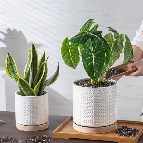 Indoor Outdoor Ceramic Plant Pots (8 inch / White2)