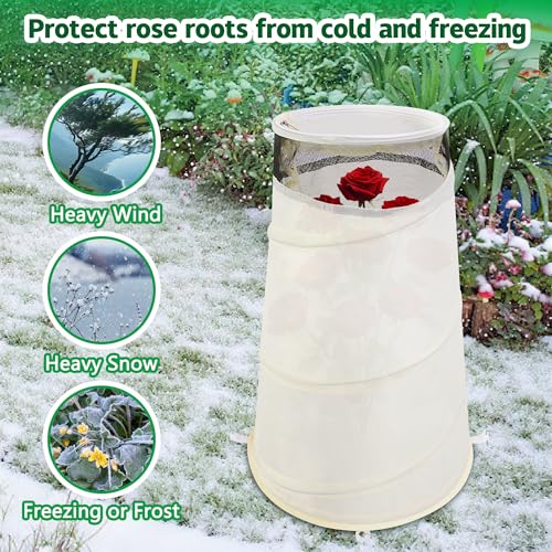 Purple Star 3 Pcs Pop Up Rose Cones for Winter Protection (White-3Pcs)