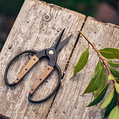 Garden Scissors (Small Garden Scissors)