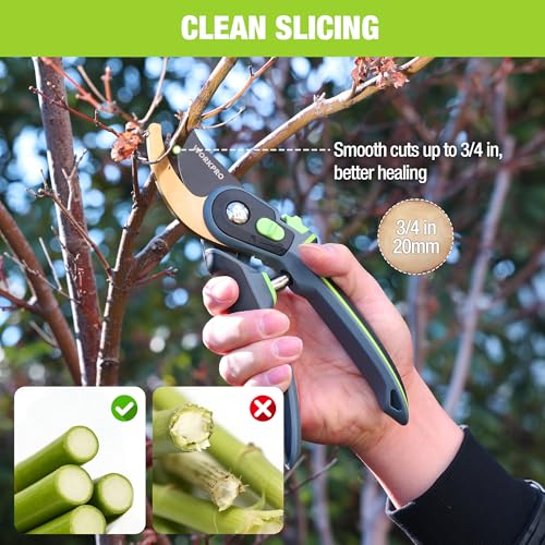 Pruning Shears
