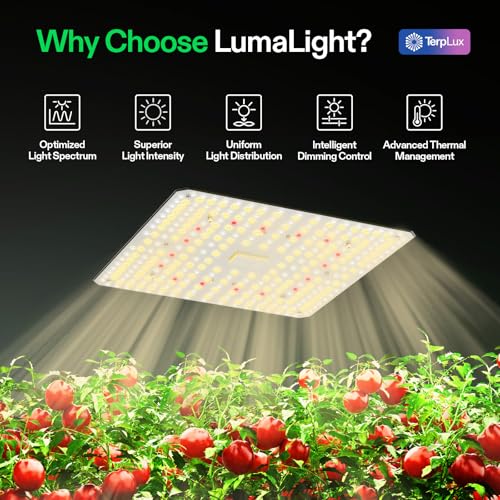 LumaLight 100W LED Grow Light (4x2)