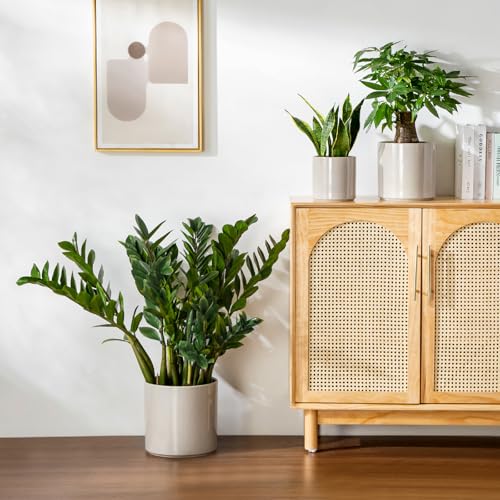 6"+8"+10" Ceramic Pot for Plants (Gray / 6+8+10 Inch)