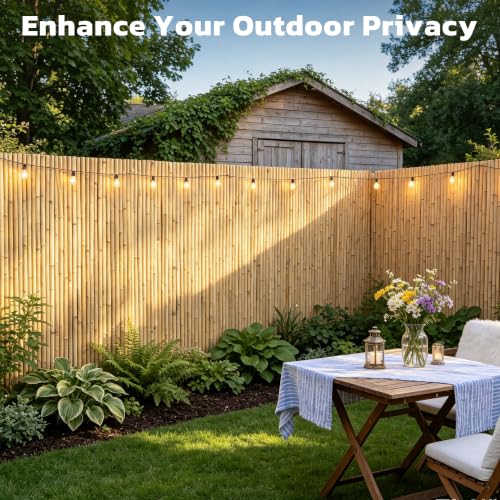 Natural Bamboo Fence (48 Sq Ft)