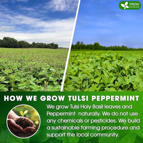 Premium Tulsi Peppermint Herbal Tea (55 Tea Bags)