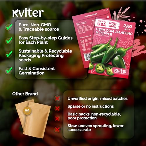 250 Jalapeno Peppers M Heirloom Vegetable Seeds