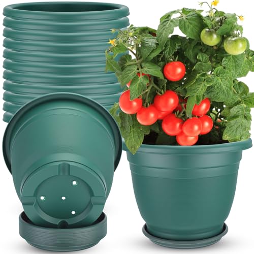 12 Pcs 10'' Plastic Plant Pots Round Planter Pots with Saucer Tray Seedling Pot Hole Seed Resin Plant Pot Starting Nursery Flower Container with Pallet for Garden Outdoor Indoor (Green / 10'')
