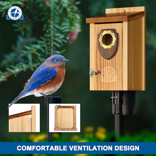 2 Pack Bird House (Medium-roast coffee color -- 2PK)