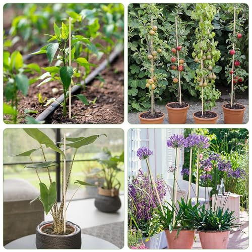 120 PCS Bamboo Plant Stakes 18 Inch (120 Count)