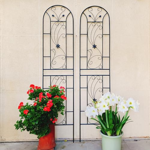 Metal Garden Trellis Rustproof Trellis for Climbing Plants Outdoor Flower Support Peacock Style