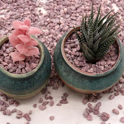 Red Rocks for Plants & Planters