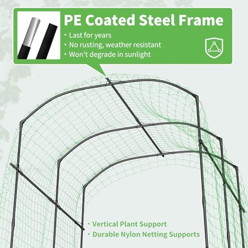 87''H x 75''L Garden Arch Trellis (75'' L x 71'' W x 87'' H/Black)