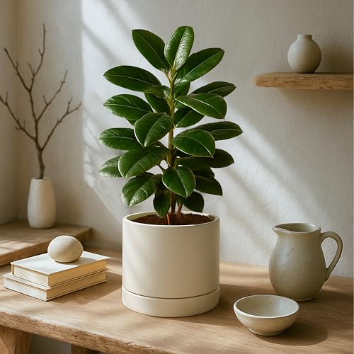 8 Inch Planter Pot with Drainage Hole & Saucer (8" (1 Pack) / Oatmeal)