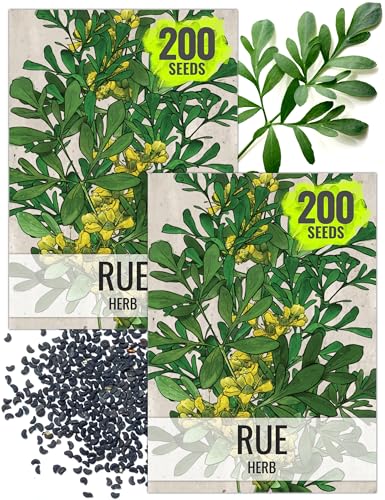 Rue Seeds to Plant Heirloom Non (2 Packs)