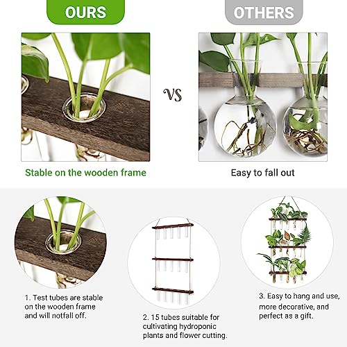 Plant Propagation Station