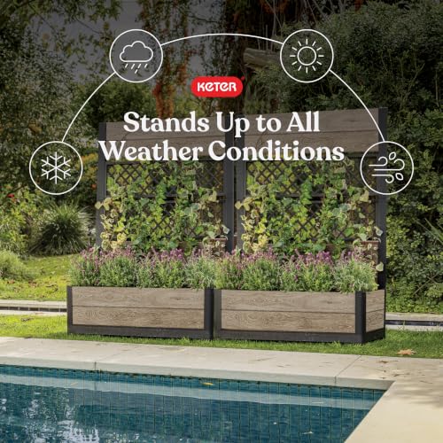 Outdoor Planter Box with Privacy Screen and Trellis (Ashwood Trellis)