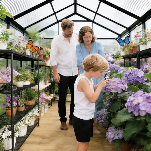 6x4 FT Greenhouse with Polycarbonate Panels Vent (Dark Gray / 6×4FT)