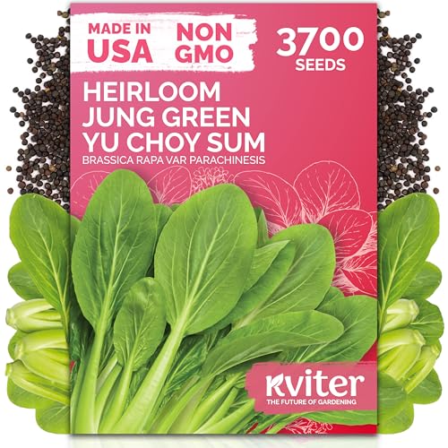 3700 Jung Green Yu Choy Sum Vegetable Seeds