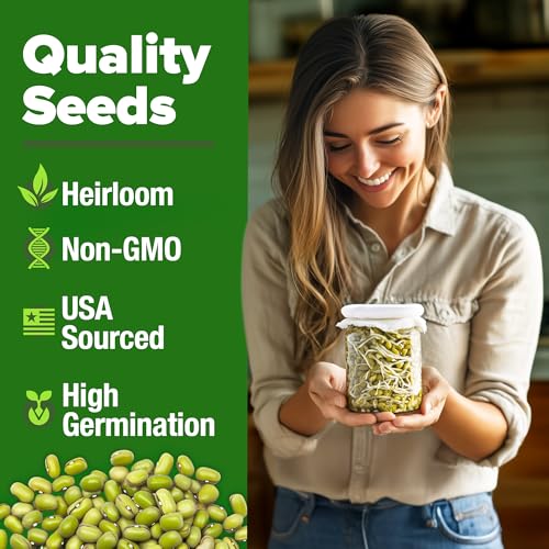 Mung Bean 15 000+ Sprouting Seeds 1.5 lb Vigna Radiata