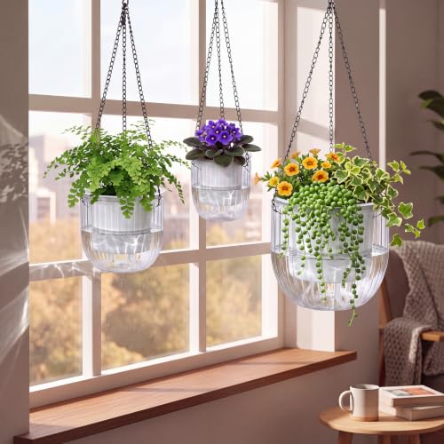 3 Pcs 8.3' 6.5'' 4.5'' Hanging Self Watering Pot for Indoor Plant (Clear / 6.9'' 6.5'' 4.5'')