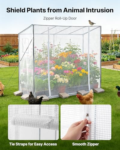 Walk in Greenhouse (White / 6.4x2.5x5.5 ft)