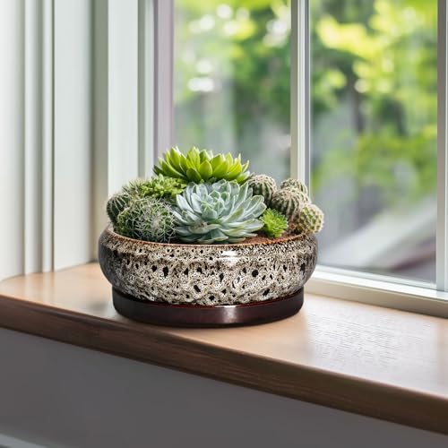 Succulent Pots 10 Inch (10 Inch / Leopard Brown-white)