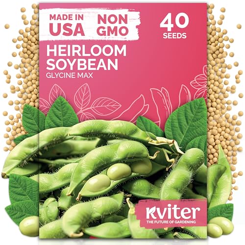 40 Soy Bean Midori Giant Edamame Heirloom Vegetable Seeds