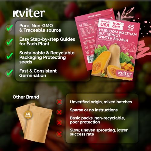 45 Waltham Butternut Winter Squash Vegetable Seeds
