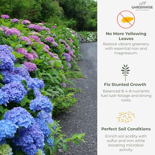 Slow Release Hydrangea Fertilizer with Iron & Sulfur (64 Ounce)