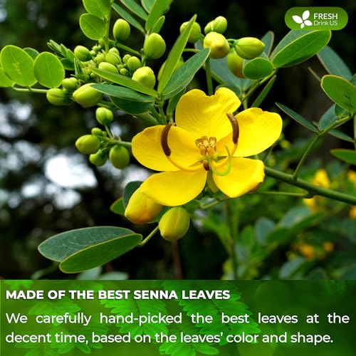 Premium 10oz Senna Leaves (10oz)