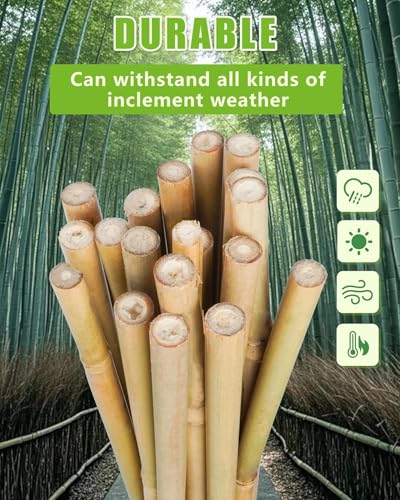 Natural Bamboo Plant Stake（Approx 5FT 50Pcs） Sturdy Bamboo Poles (4.8ft-50pcs)