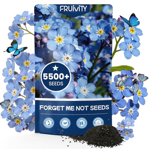 Forget Me Not Seeds 5500 Flower Seeds Forget