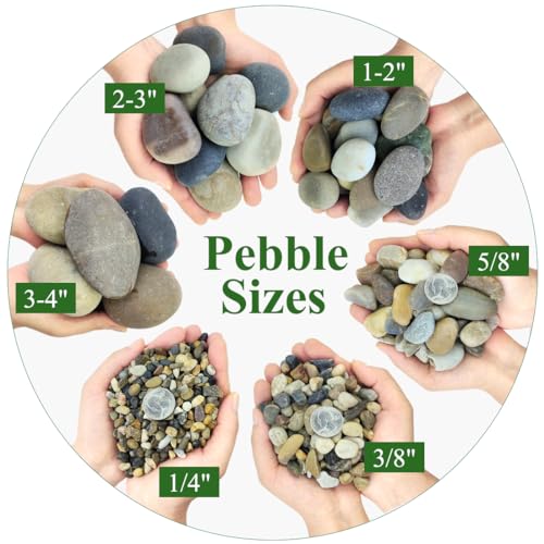 10lbs Natural River Rocks for Plants