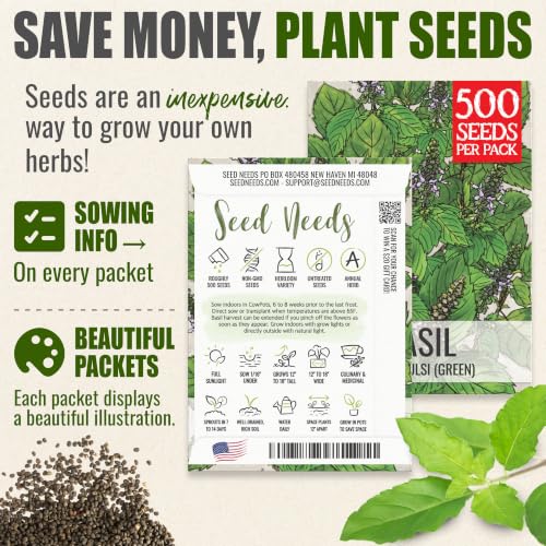 Holy Basil Seeds to Plant Heirloom Non (5 Packs)