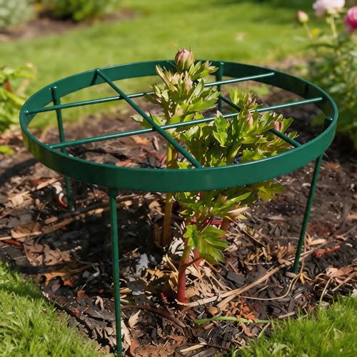 23.6" Plant Supports for Peonies (Green / 23.6"x18.9")