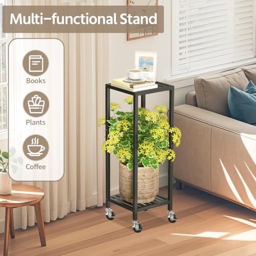 Plant Stand Shelf Indoor Outdoor Tall Corner (Standard Black / 2 Tier)