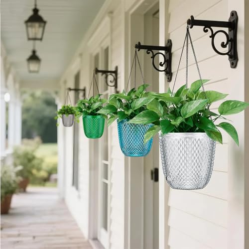 Hanging Planters for Indoor Plants (Clear / 5.7in)