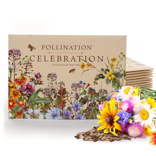 Bentley Pollination Celebration Wildflower Seed Packets (25 Count)