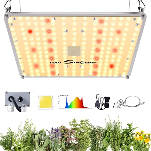 LED Grow Lights for Indoor Plants