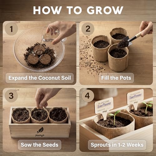 Sunflower Seeds Growing Kit