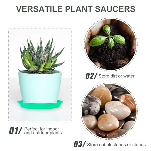 12Pcs Colourful Plant Saucer (12 Count)