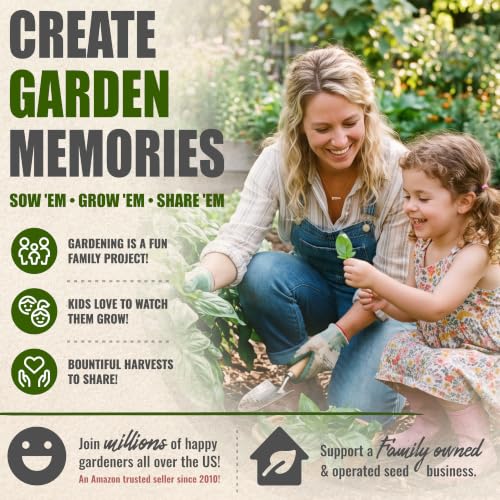 Italian Basil Seeds to Plant Heirloom Non (5 Packs)